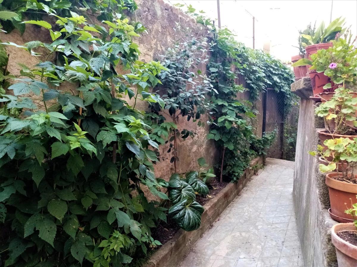 Casa Da Judiaria Velha Hotel Висеу Екстериор снимка